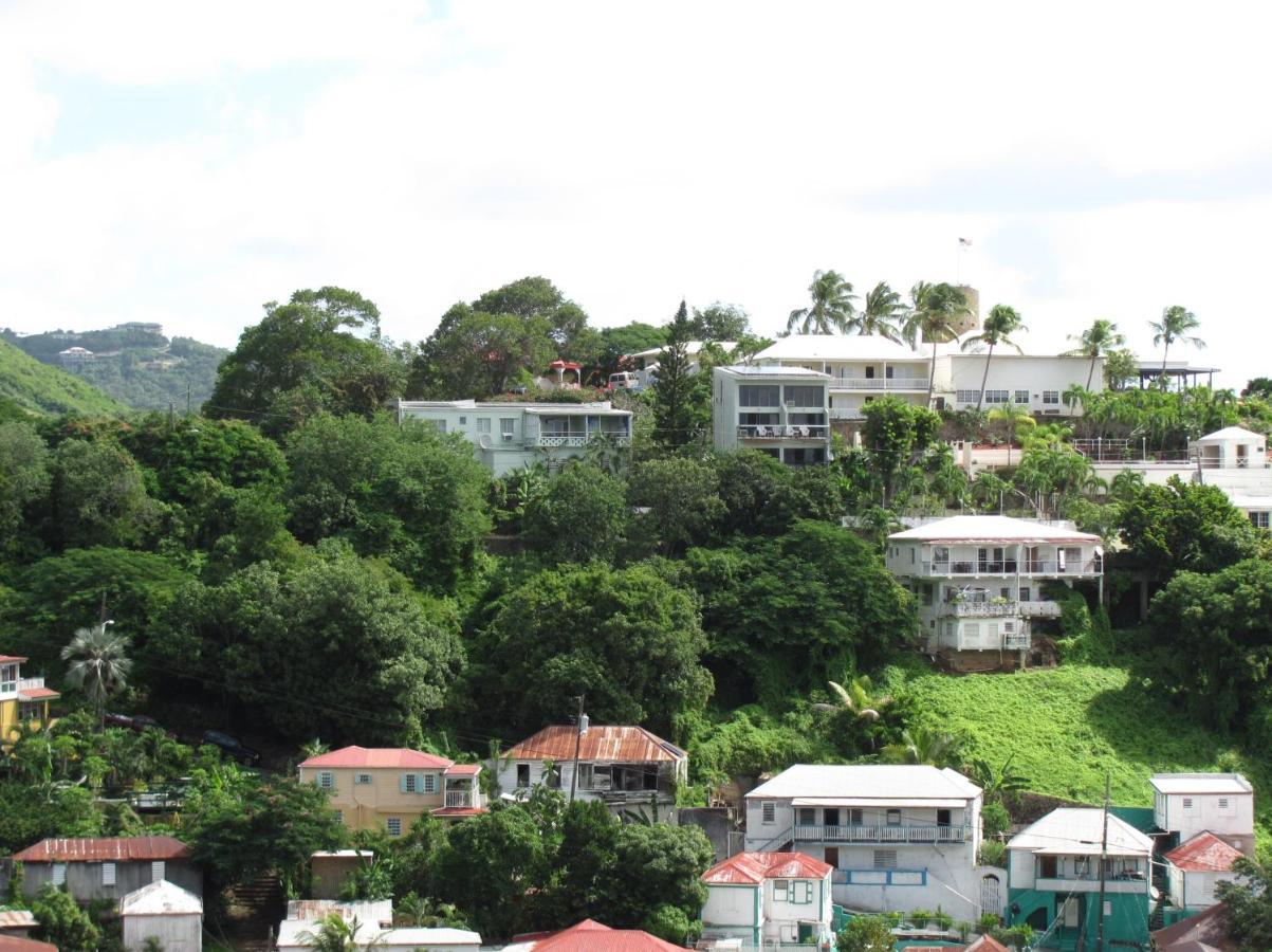 The Green Iguana Hotel Charlotte Amalie Exterior foto