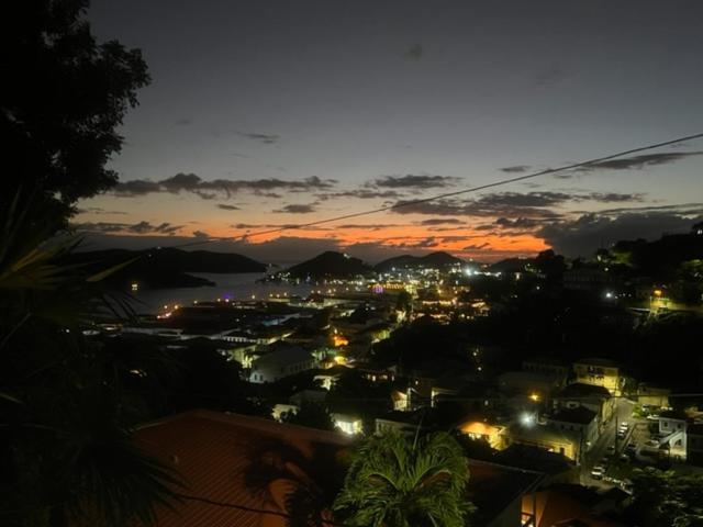 The Green Iguana Hotel Charlotte Amalie Exterior foto