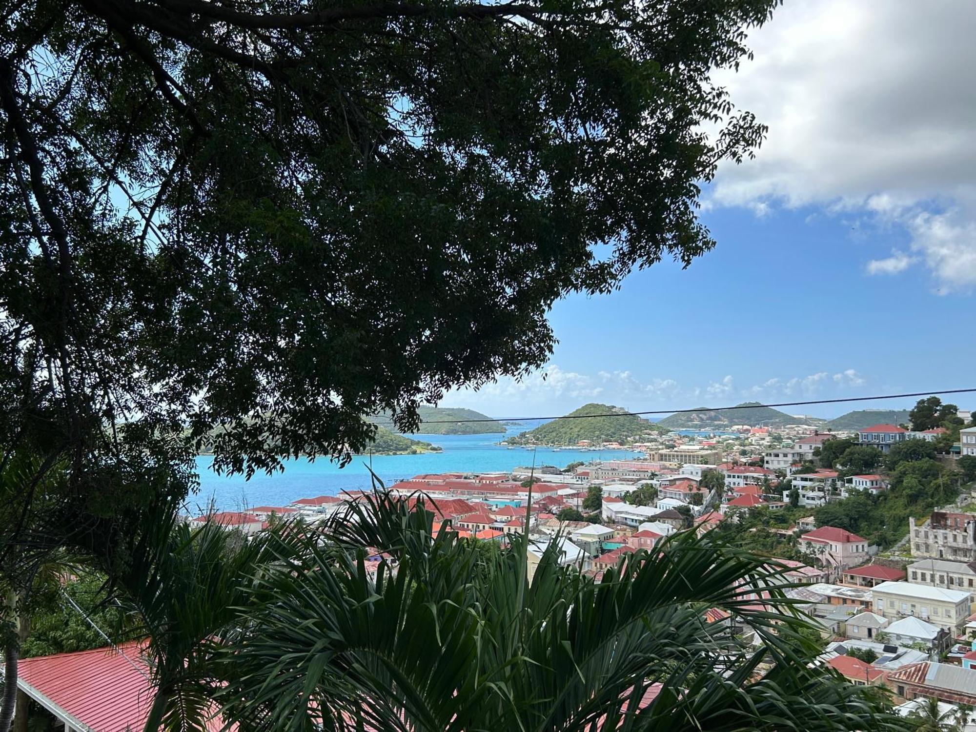 The Green Iguana Hotel Charlotte Amalie Exterior foto